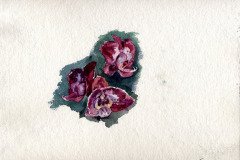 IMG-20241229-WA0003