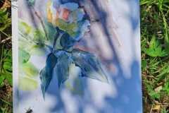 IMG-20241229-WA0014