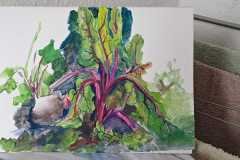 IMG-20241229-WA0015