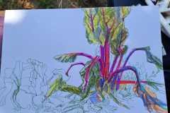 IMG-20241229-WA0018