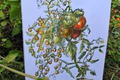 IMG-20241229-WA0021